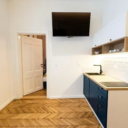 August Braun Luxury In Center Apartment Sarajevo